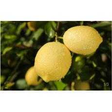 四川安岳优质柠檬小果7个装（单果65-85g） 一天一个不浪费丨皮薄多汁