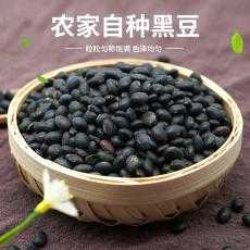 【源泉百货】隆安黑豆农家自产 小黑豆非转基因乌豆黑大豆绿色食品500g