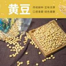 【惠民供销 黄豆  非转基因可发豆芽 500g