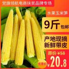 【明磊生态】广西即食水果玉米农家自种迷你小玉米笋现摘应季蔬菜新鲜9斤包邮