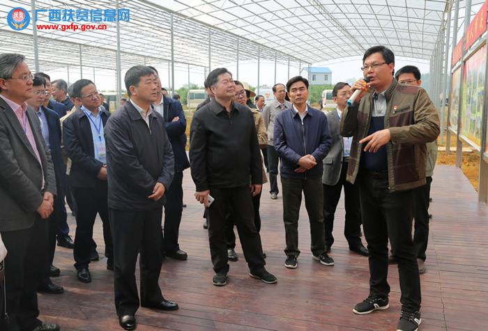 图为洪天云、方春明一行到上林县澄泰乡大坡村达谋生态种养示范实训孵化基地观摩。（4）_副本.jpg